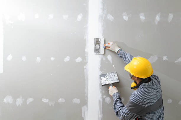 Best Post-Construction Mold Inspection  in Day Valley, CA