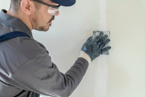 Best Environmental Consulting for Mold Prevention  in Day Valley, CA