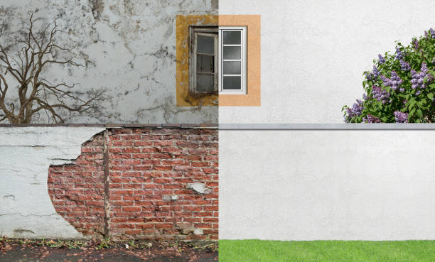 Best Black Mold Removal  in Day Valley, CA