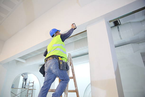 Best Biohazard Mold Removal  in Day Valley, CA