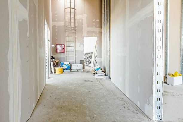 Best Commercial Mold Inspection  in Day Valley, CA