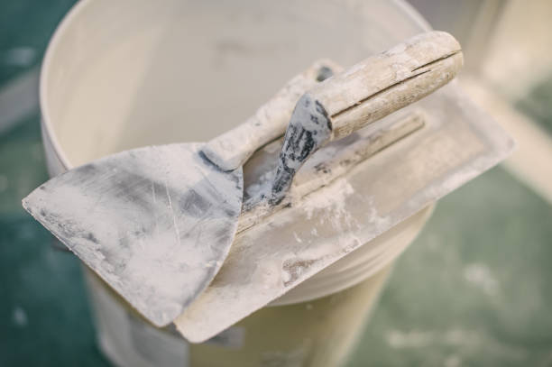 Best Mold-Related Health Consultation  in Day Valley, CA
